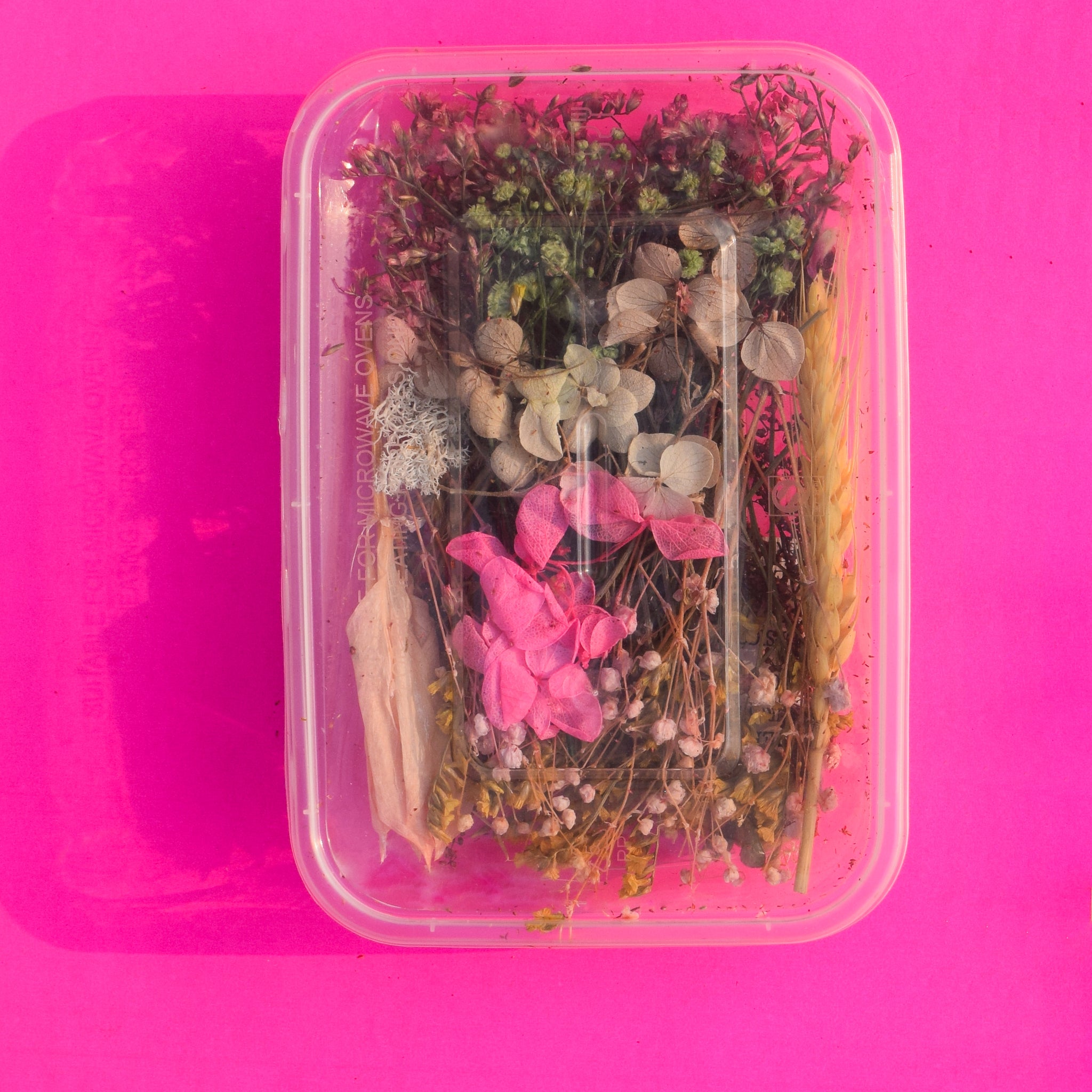Dried flower - Pretty pink with greens