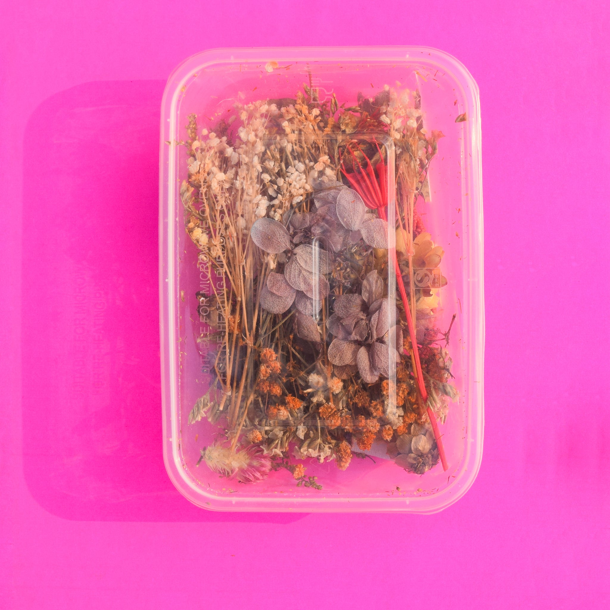 Dried flower - Lavender with grass