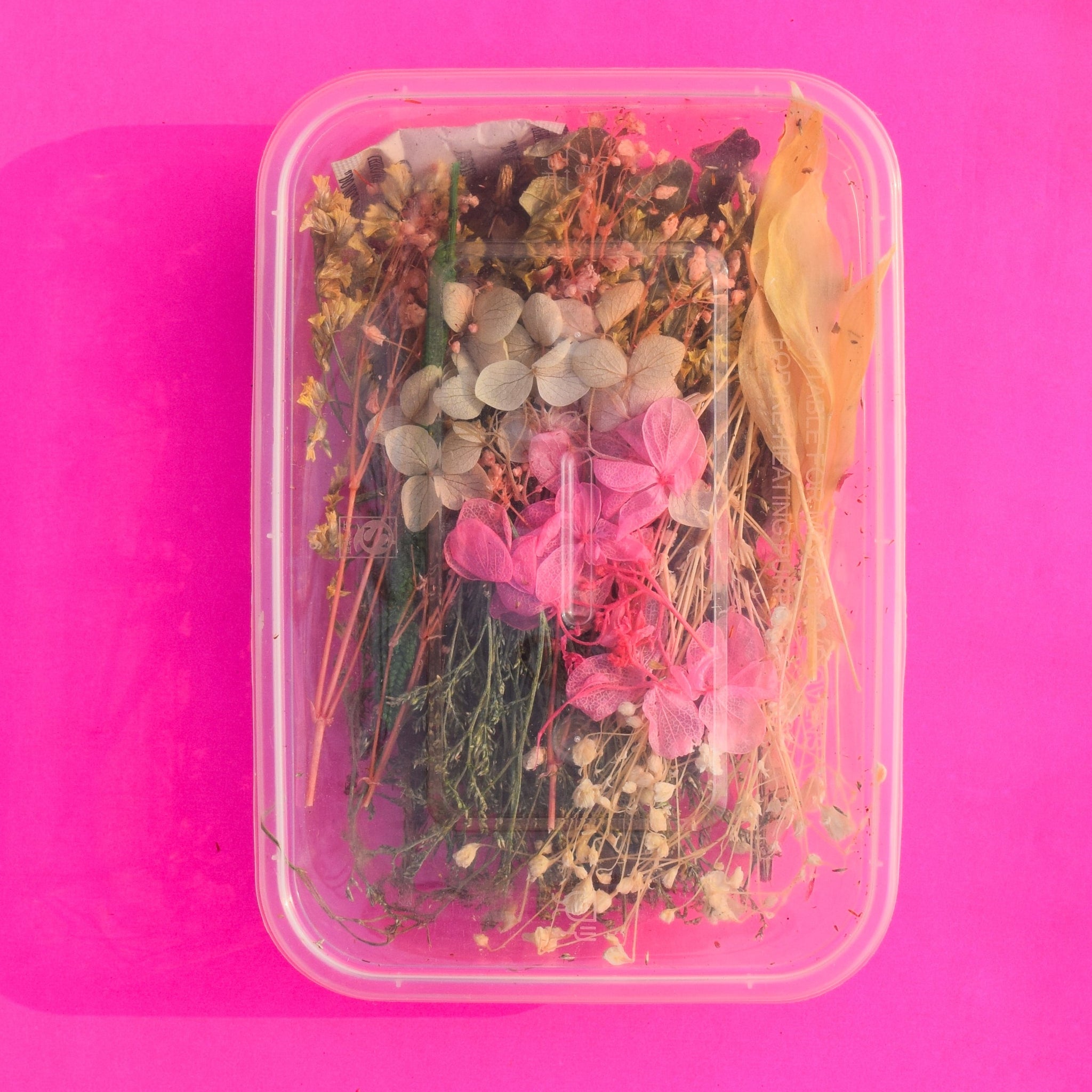Dried flower - Pretty pink with greens